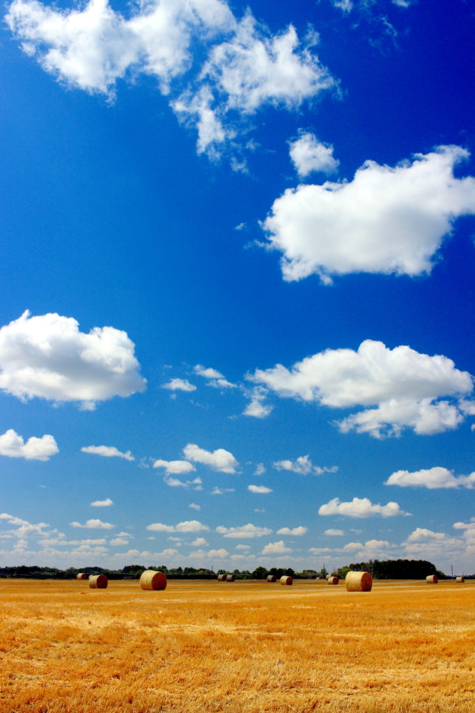 Bales and sky