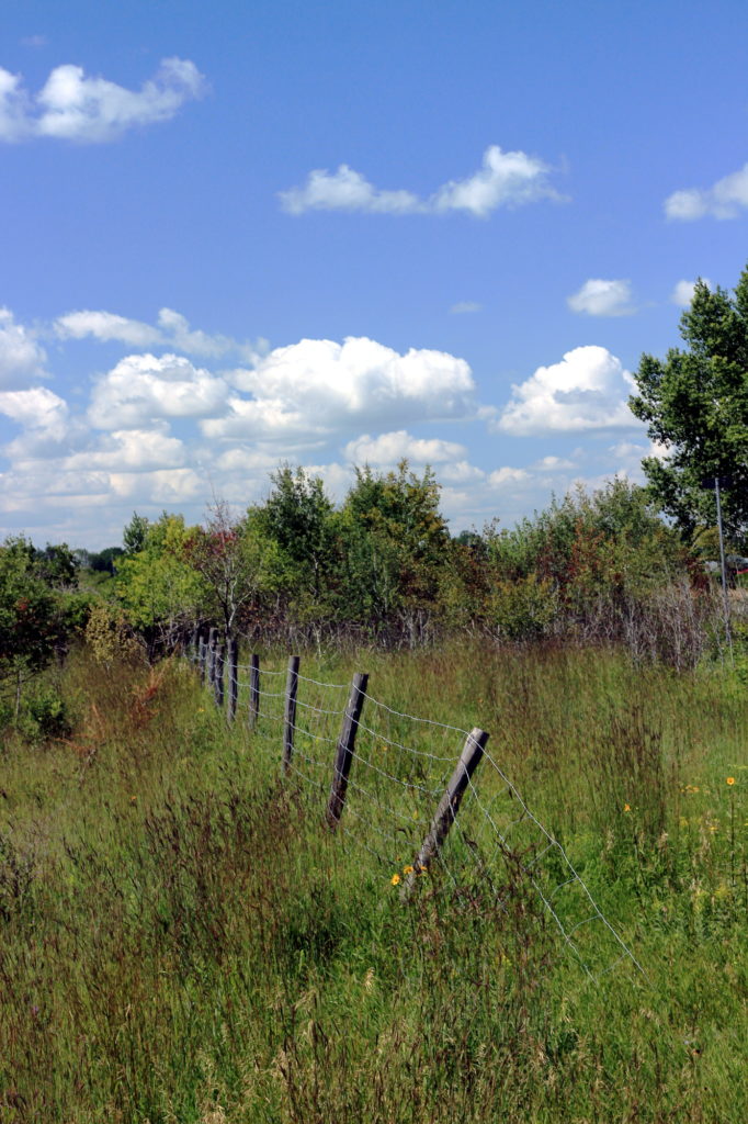 Leaning fence