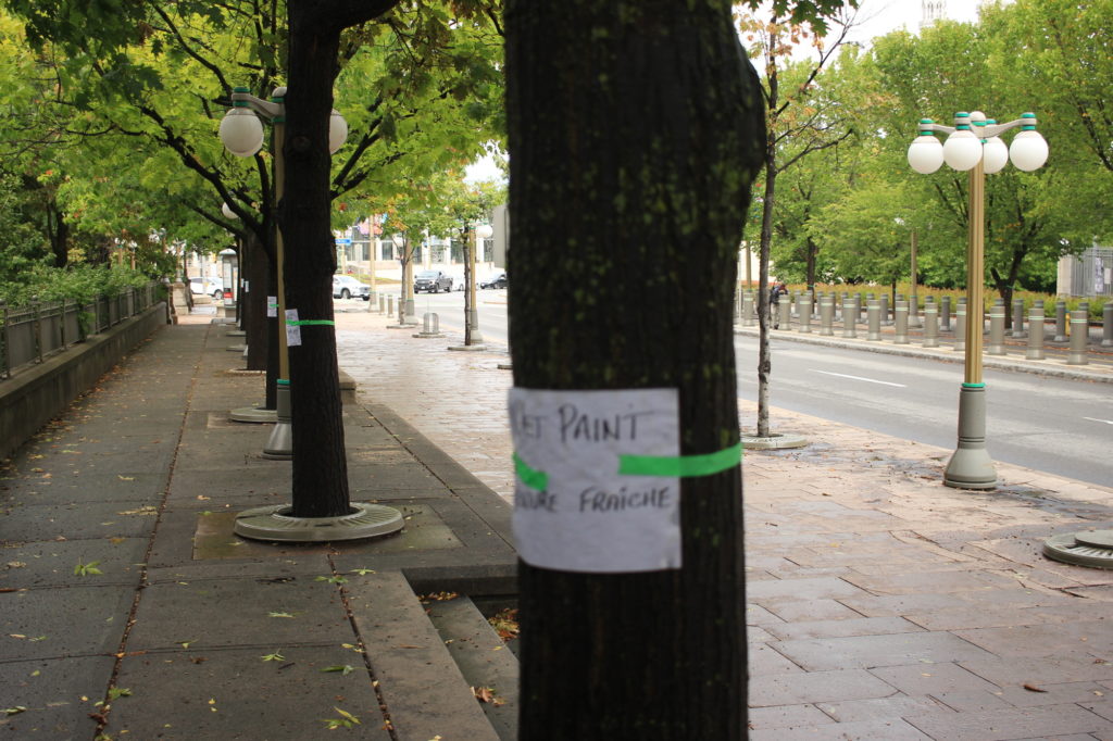 "Wet Paint" signs on the trees