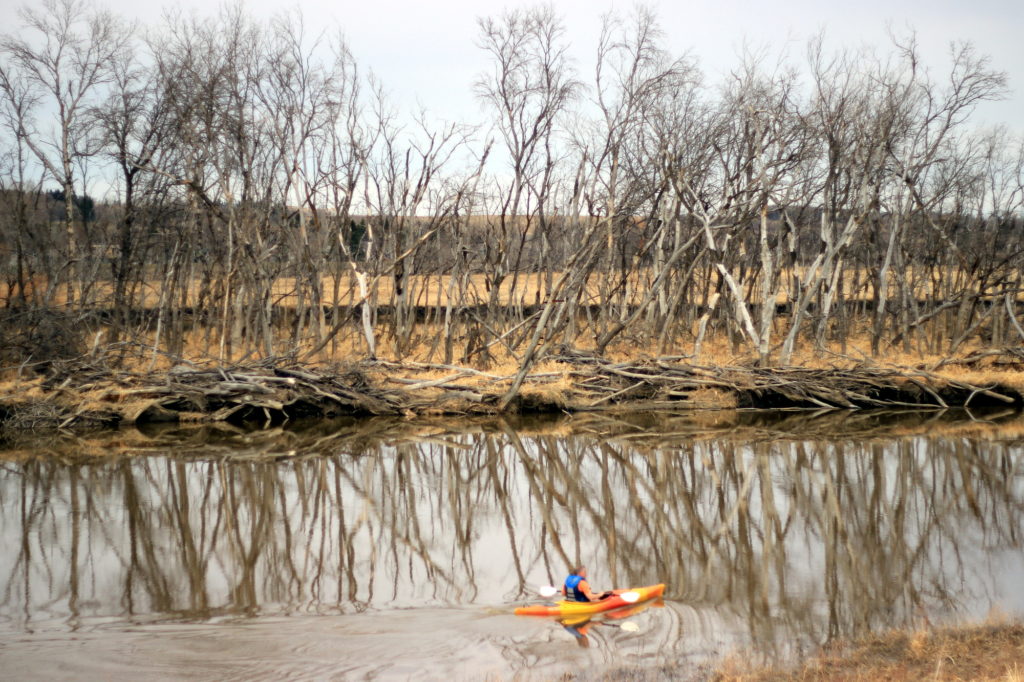 Full shot of the river and the kayaker