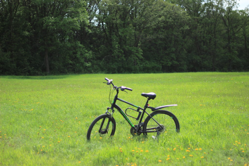 My bike in a meadow