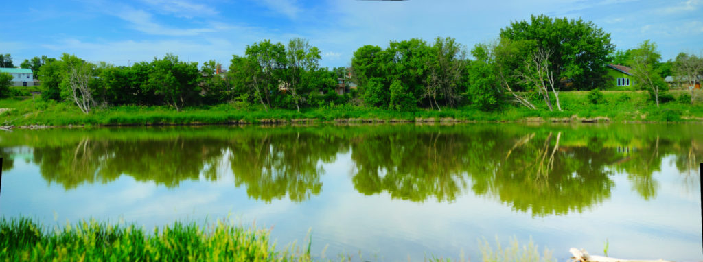 Trees reflected in the river