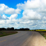 Panorama: curved highway with canola fields in the background