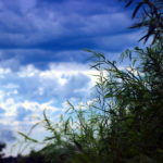 A cloudy sky
