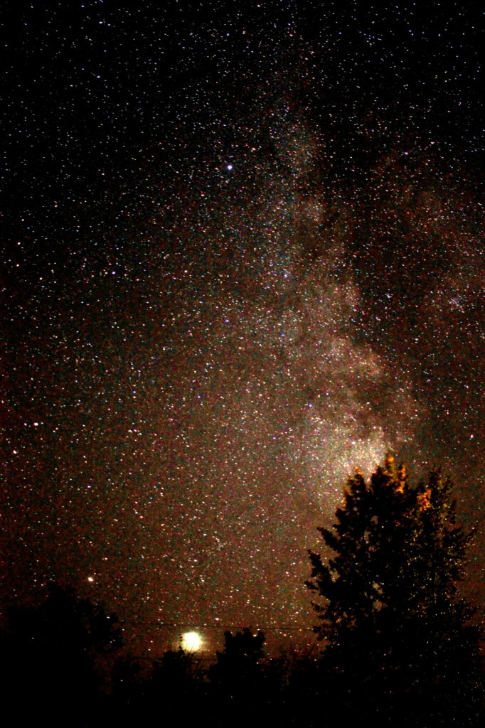 The Milky Way behind a tree 