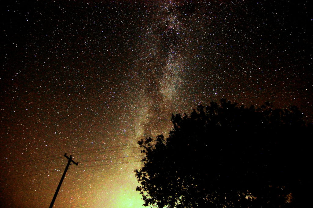 The Milky Way, a tree, and a telephone pole