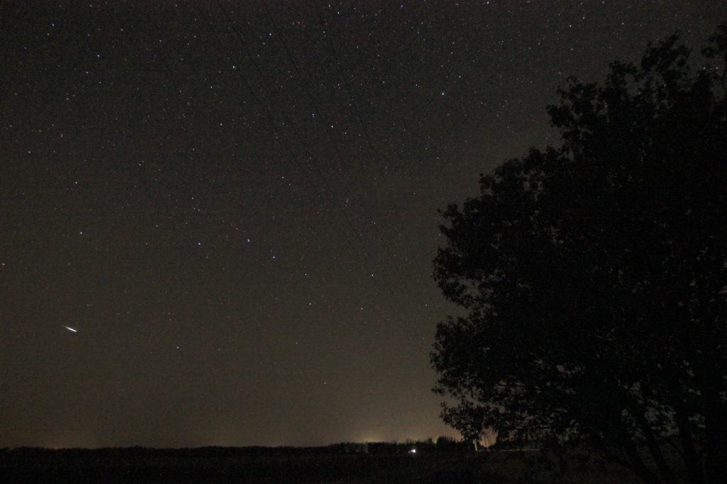Tree, Big Dipper, and a meteor