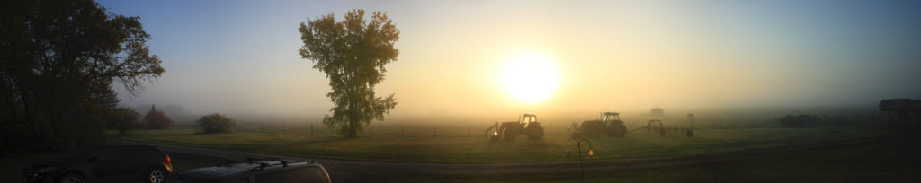 Panorama of a foggy morning at the farm, with a tree and two tractors halfway visible
