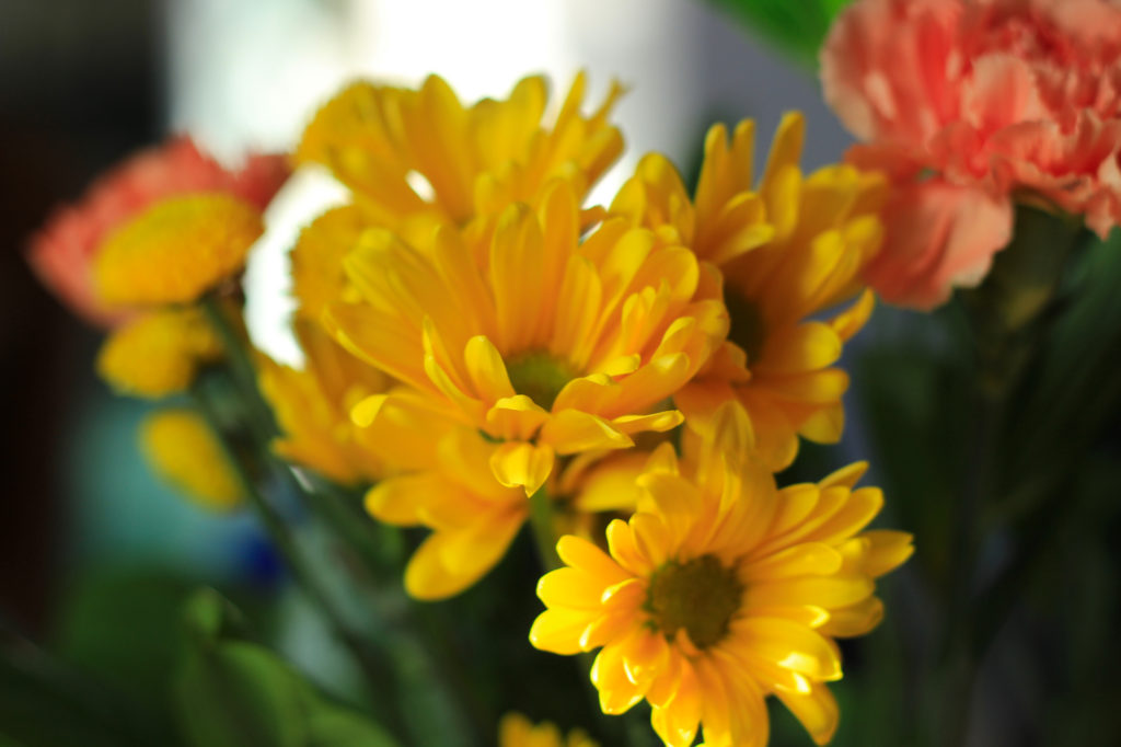Flowers