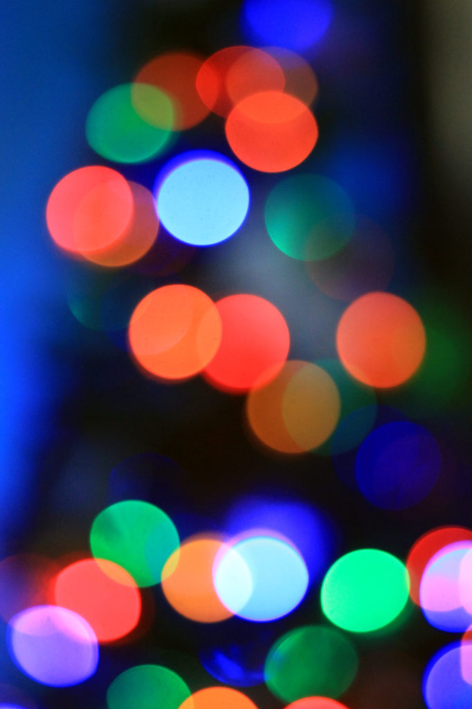 The tree in full bokeh