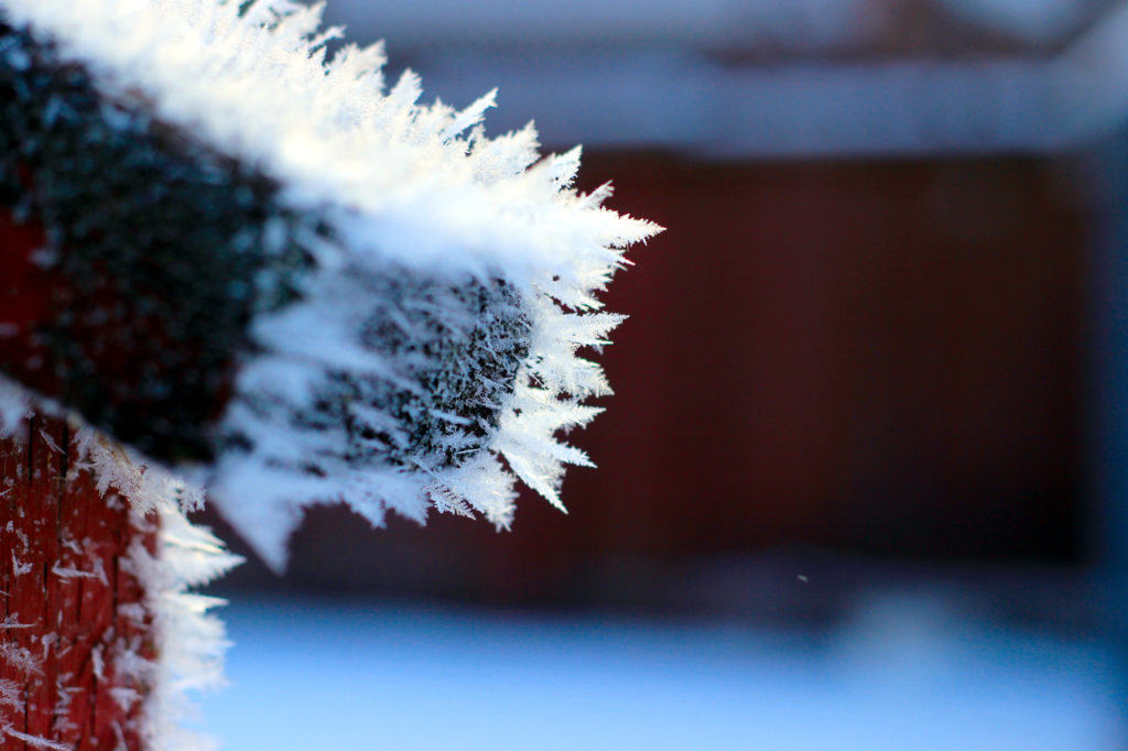 Frost on the stair rail