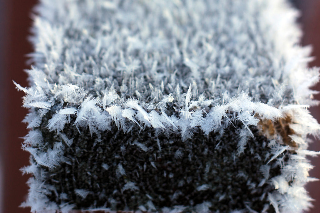 Frost on the stair rail
