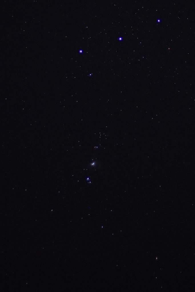 Orion (detail)