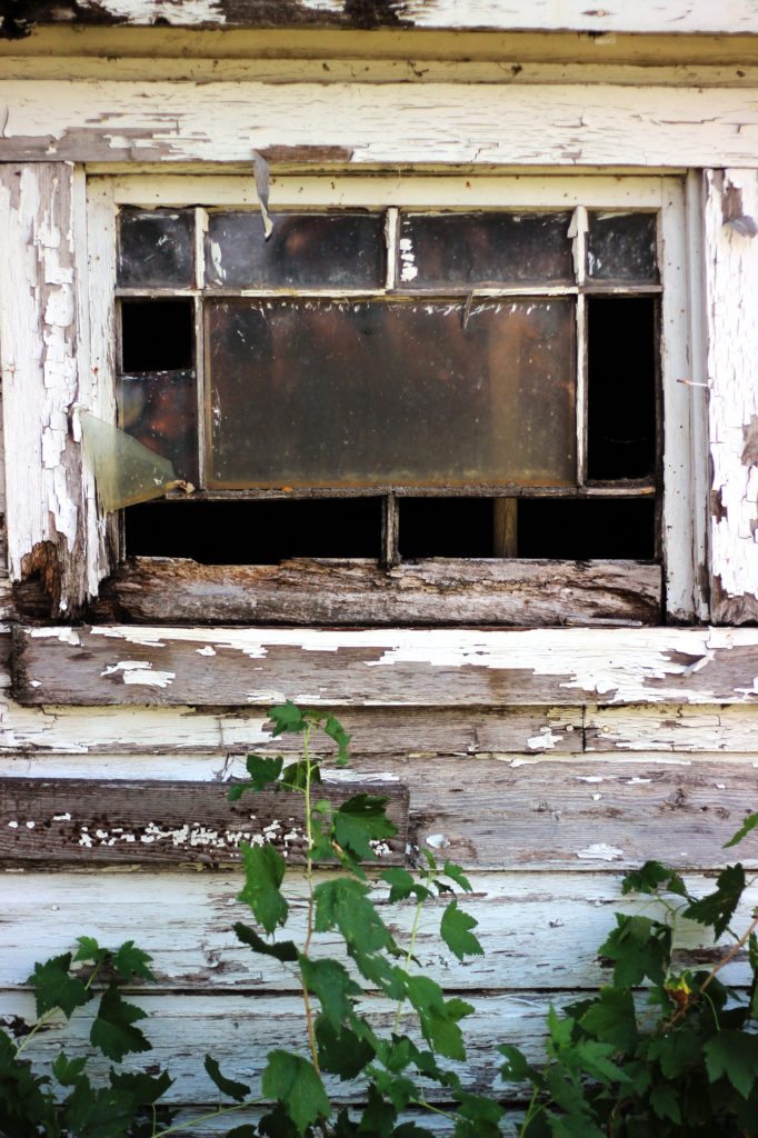 Shed window