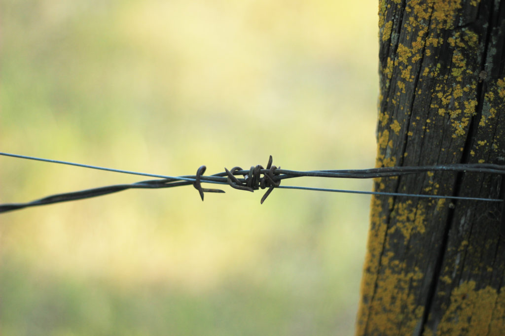 Barbed wire closeup