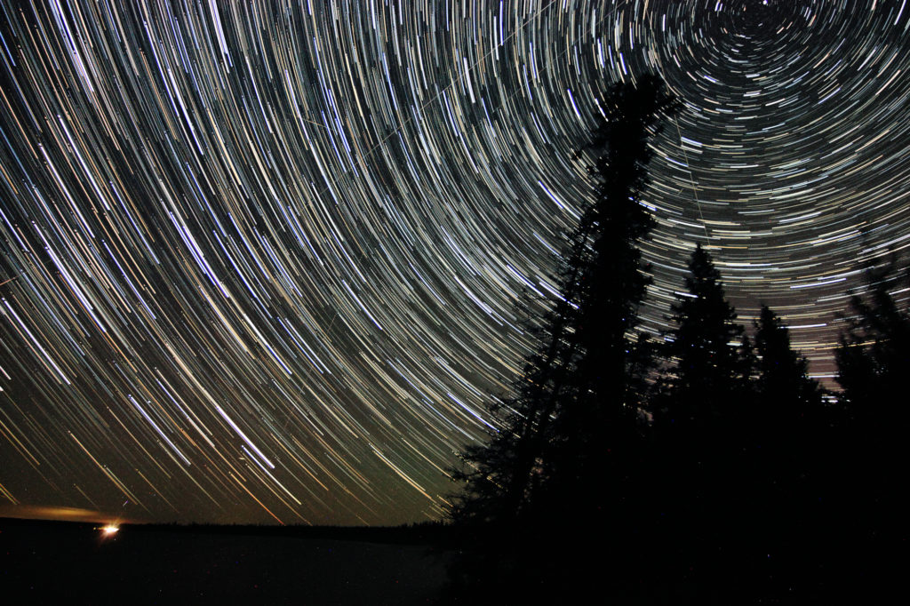 Star trails at Spruces in Riding Mountain National Park