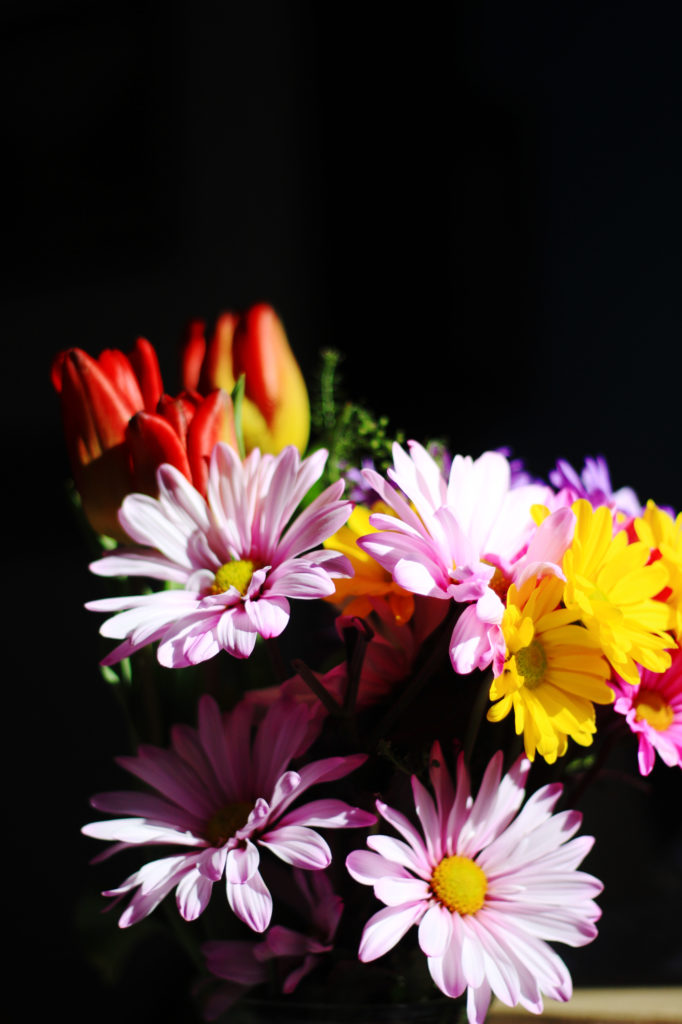 Daisies and tulips