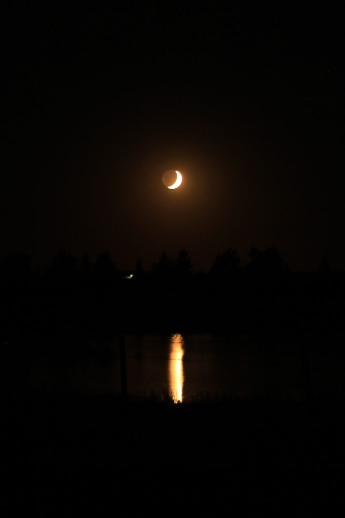 Crescent moon reflected in a pond