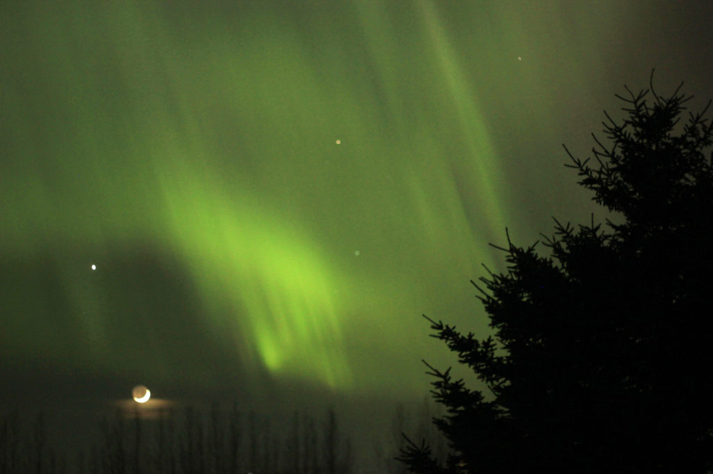 Aurora Borealis (a little blurry)
