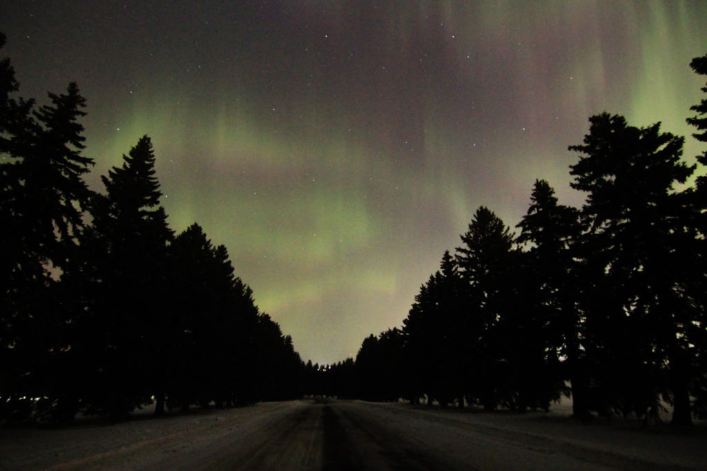 Aurora Borealis