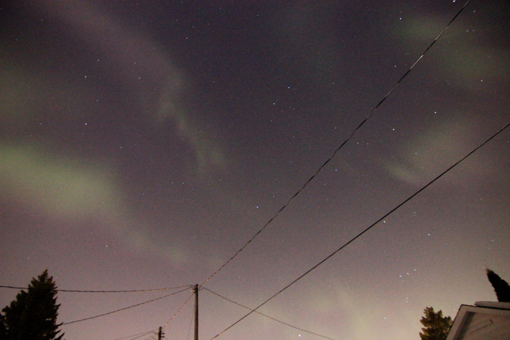 Aurora Borealis (in the back lane)