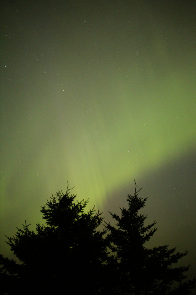 Aurora Borealis