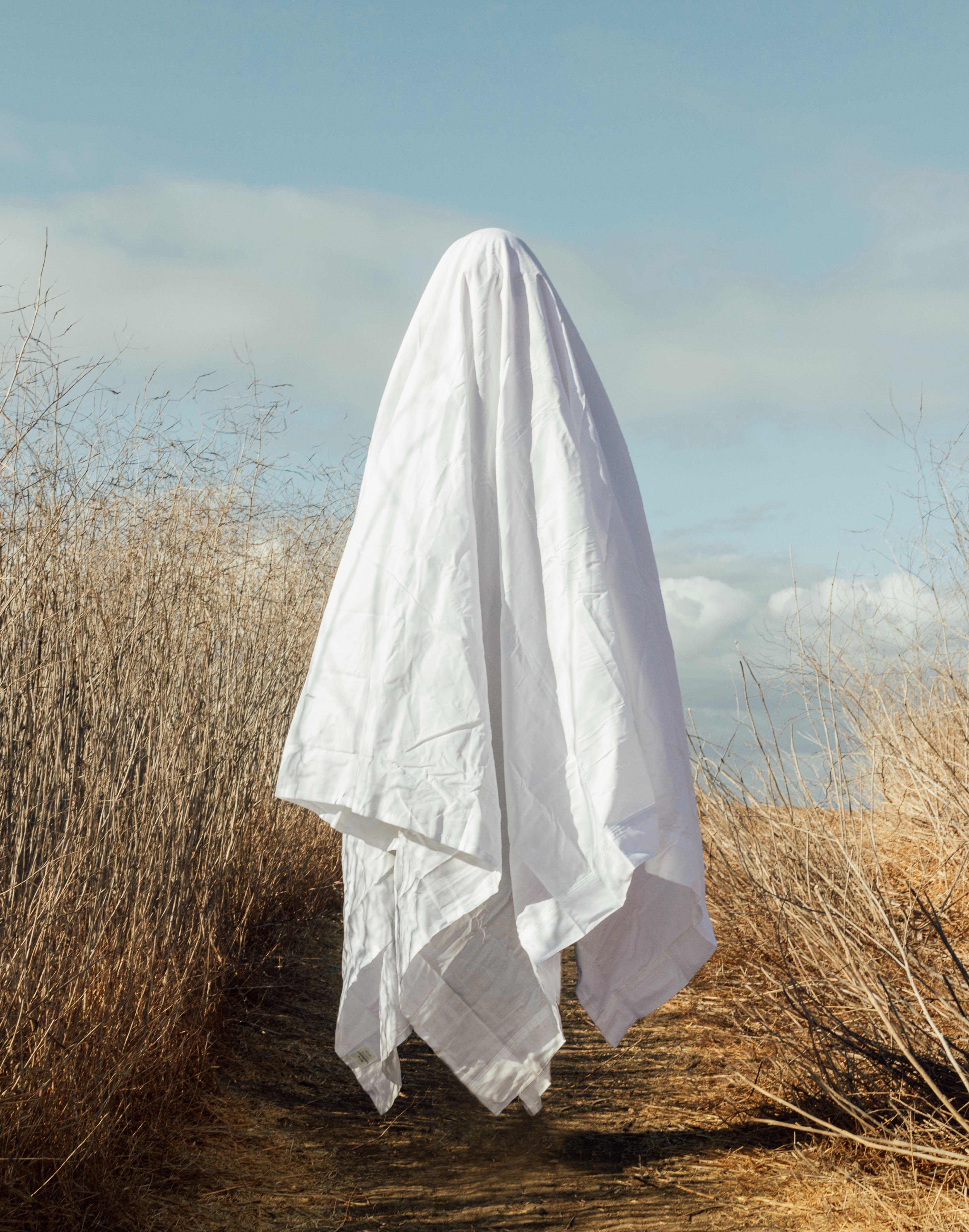 A white sheet hovers ghostlike above a scrub-and-dirt landscape. Photo by Drew Tilk on Unsplash.