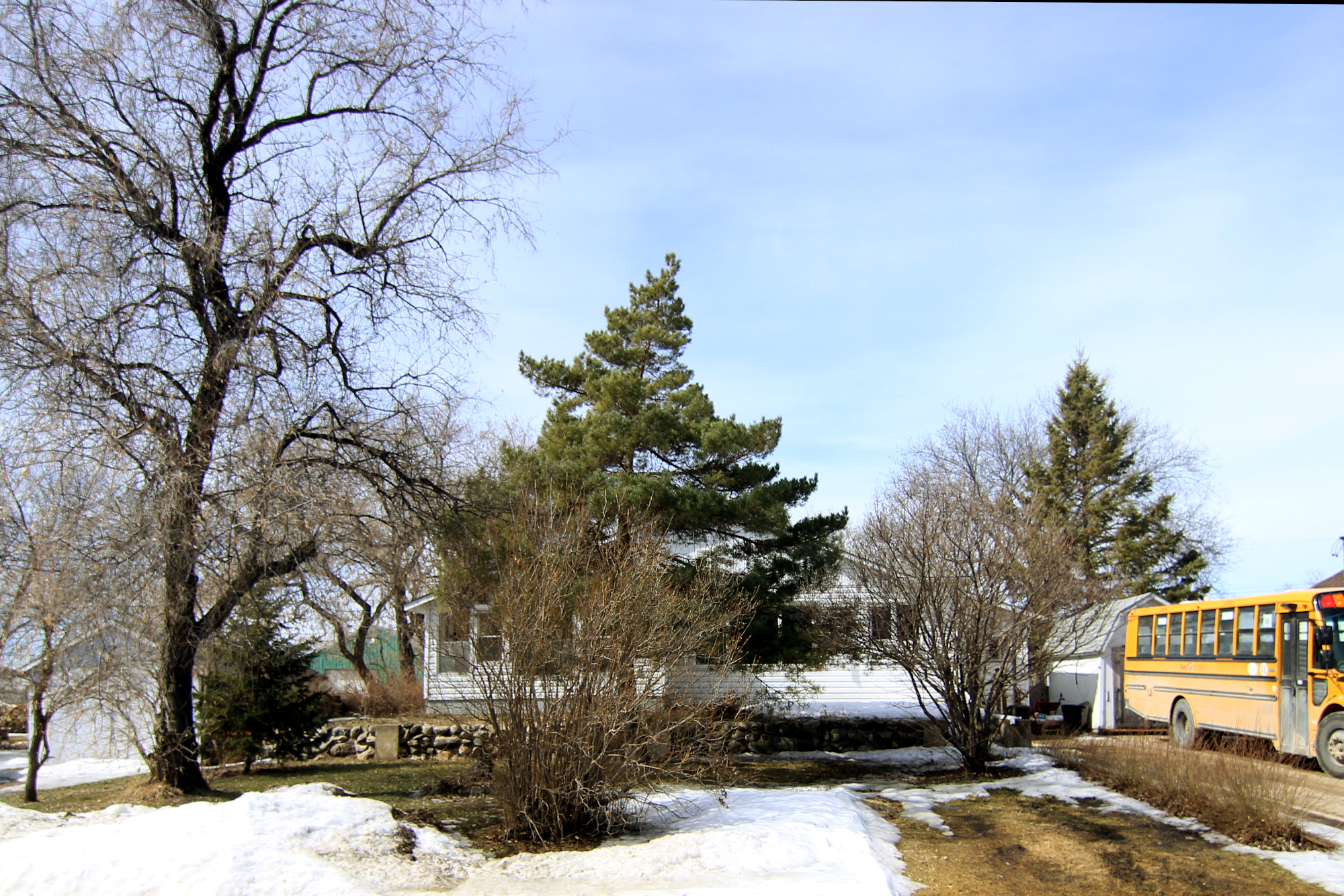 The house I grew up in