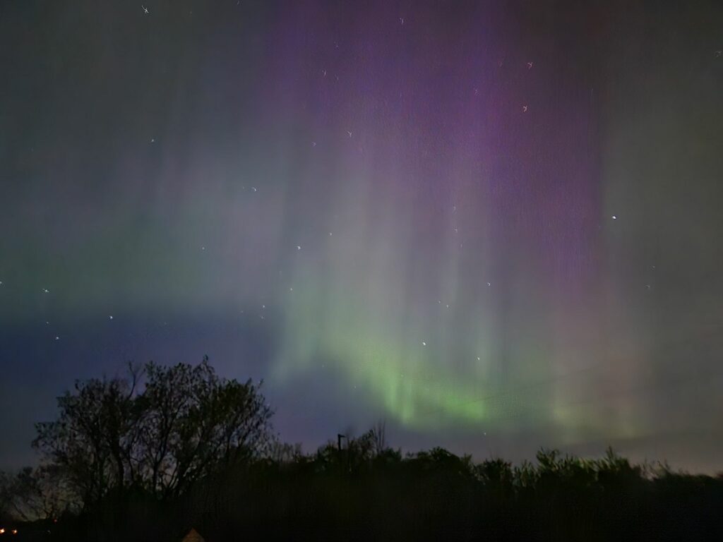 Aurora Borealis above the trees