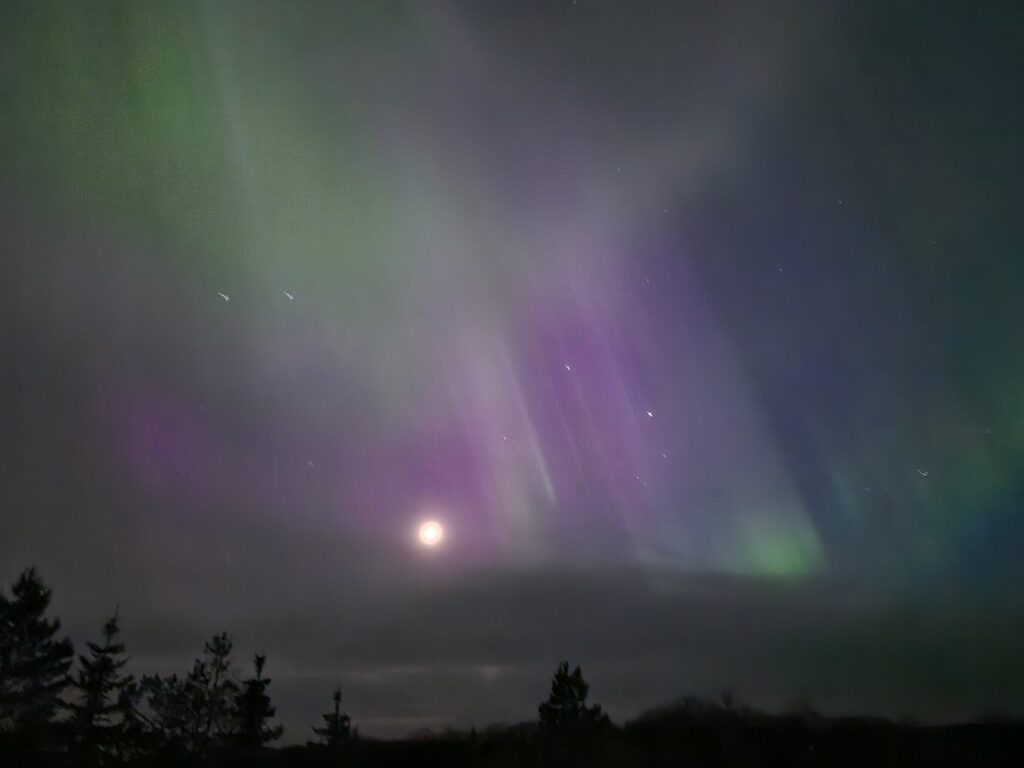 Aurora Borealis above the trees