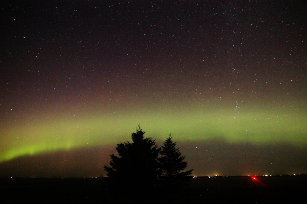 Aurora Borealis: a green band behind two pines