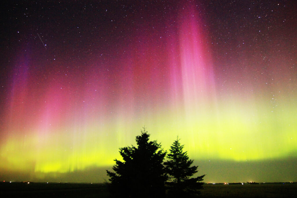 Aurora Borealis: vivid purple pillars above a green band, with two pines in the foreground