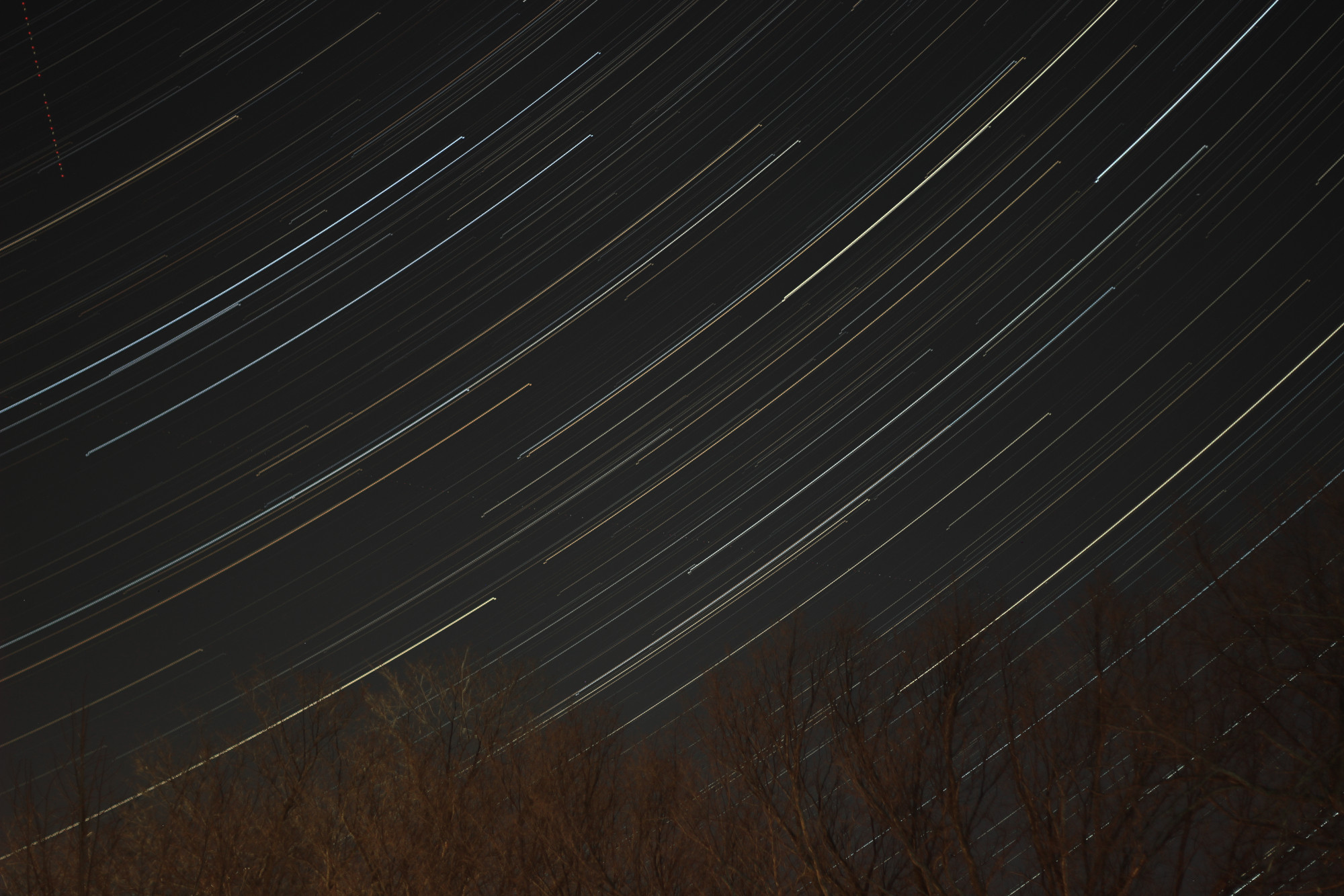 Concentric star trails above winter-bare trees