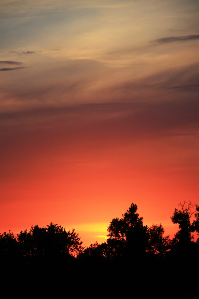The sun sets behind a line of trees; the sky is pink and orange, shading to blue at the top