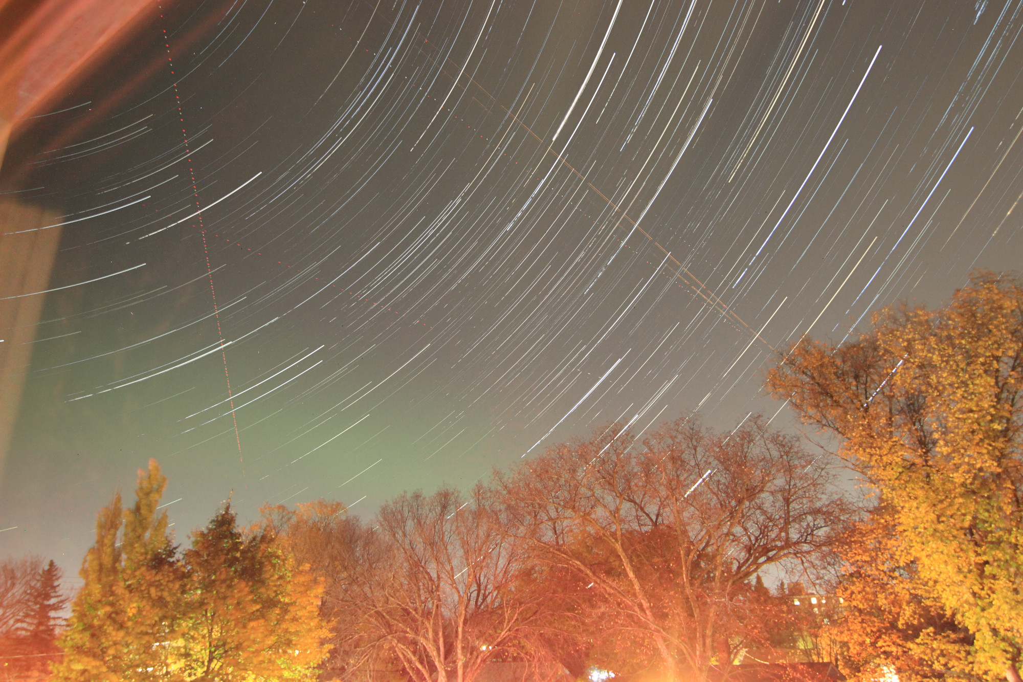 Star trails above a row of trees, lit from below by house lights and traffic