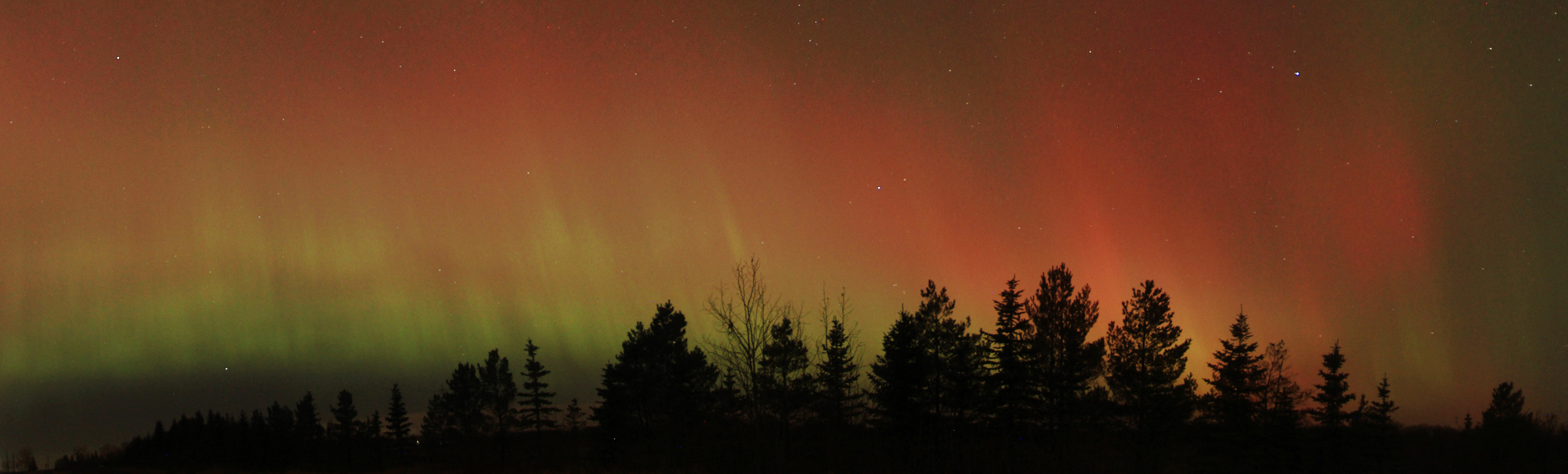 Red and green aurora above a line of trees