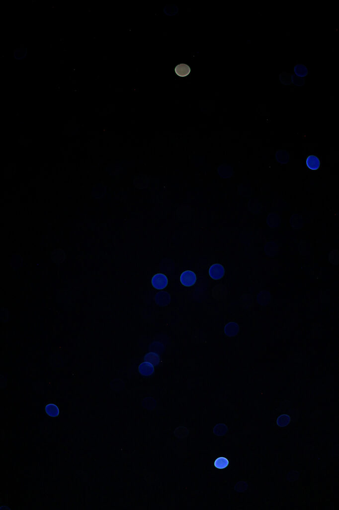 Blurry Orion