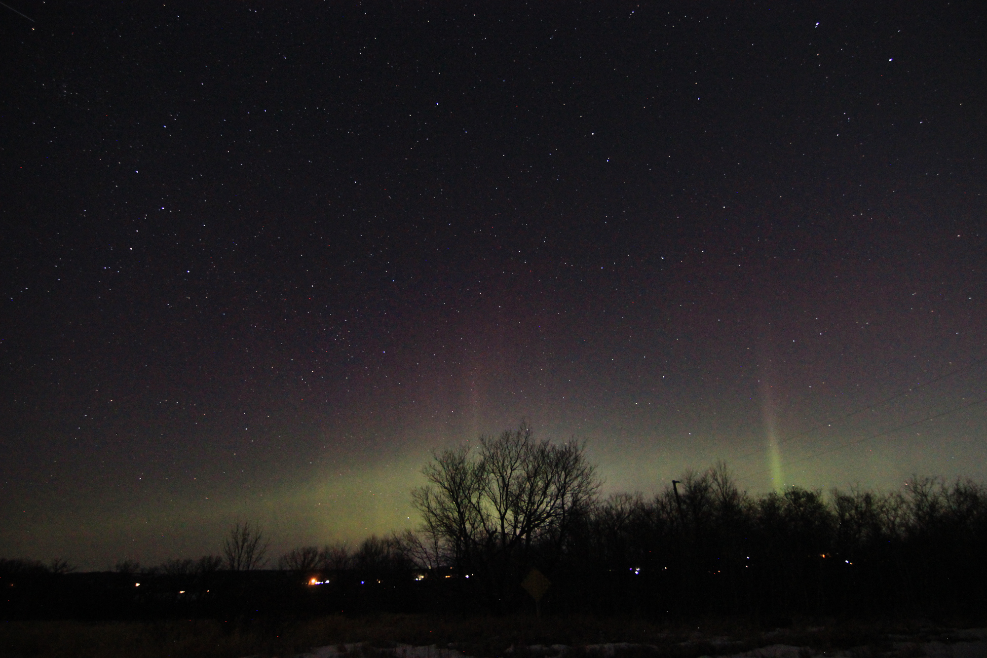 Aurora borealis above the trees
