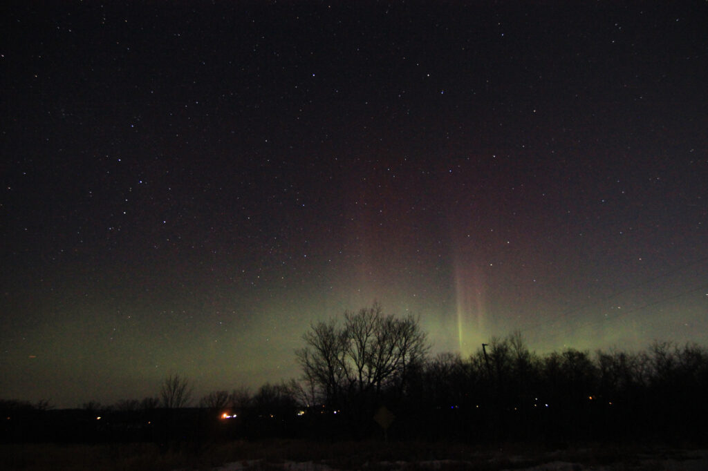 Aurora borealis above the trees