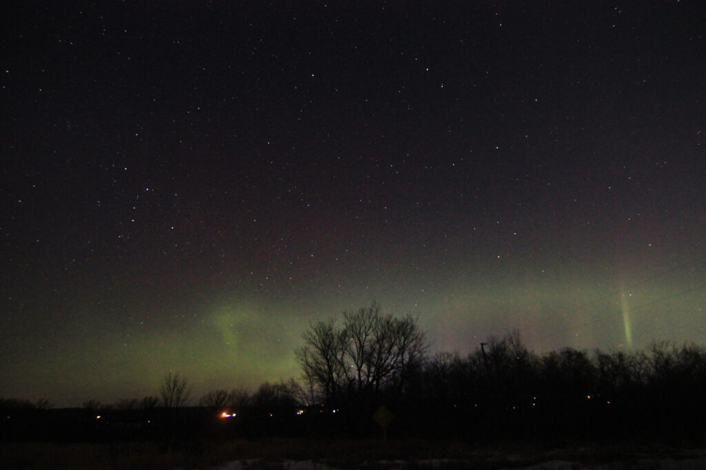 Aurora borealis above the trees