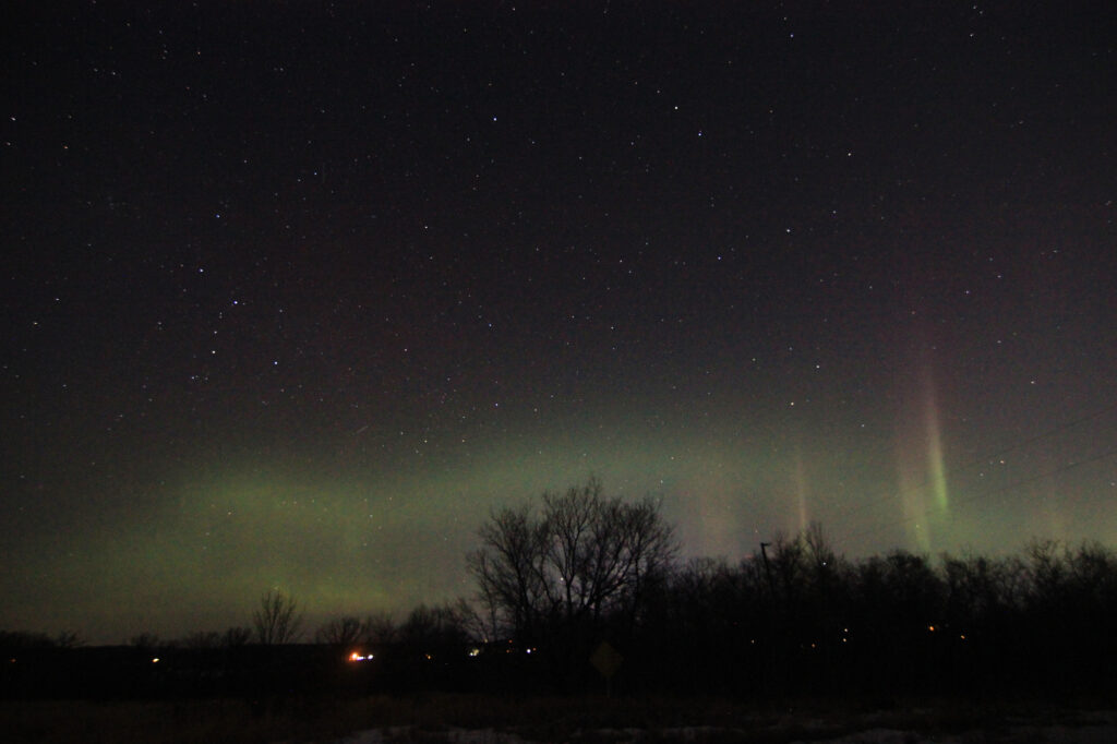 Aurora borealis above the trees