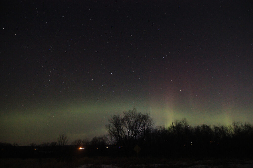 Aurora borealis above the trees