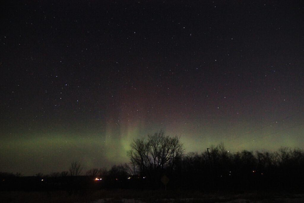 Aurora borealis above the trees
