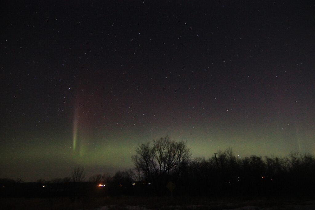 Aurora borealis above the trees