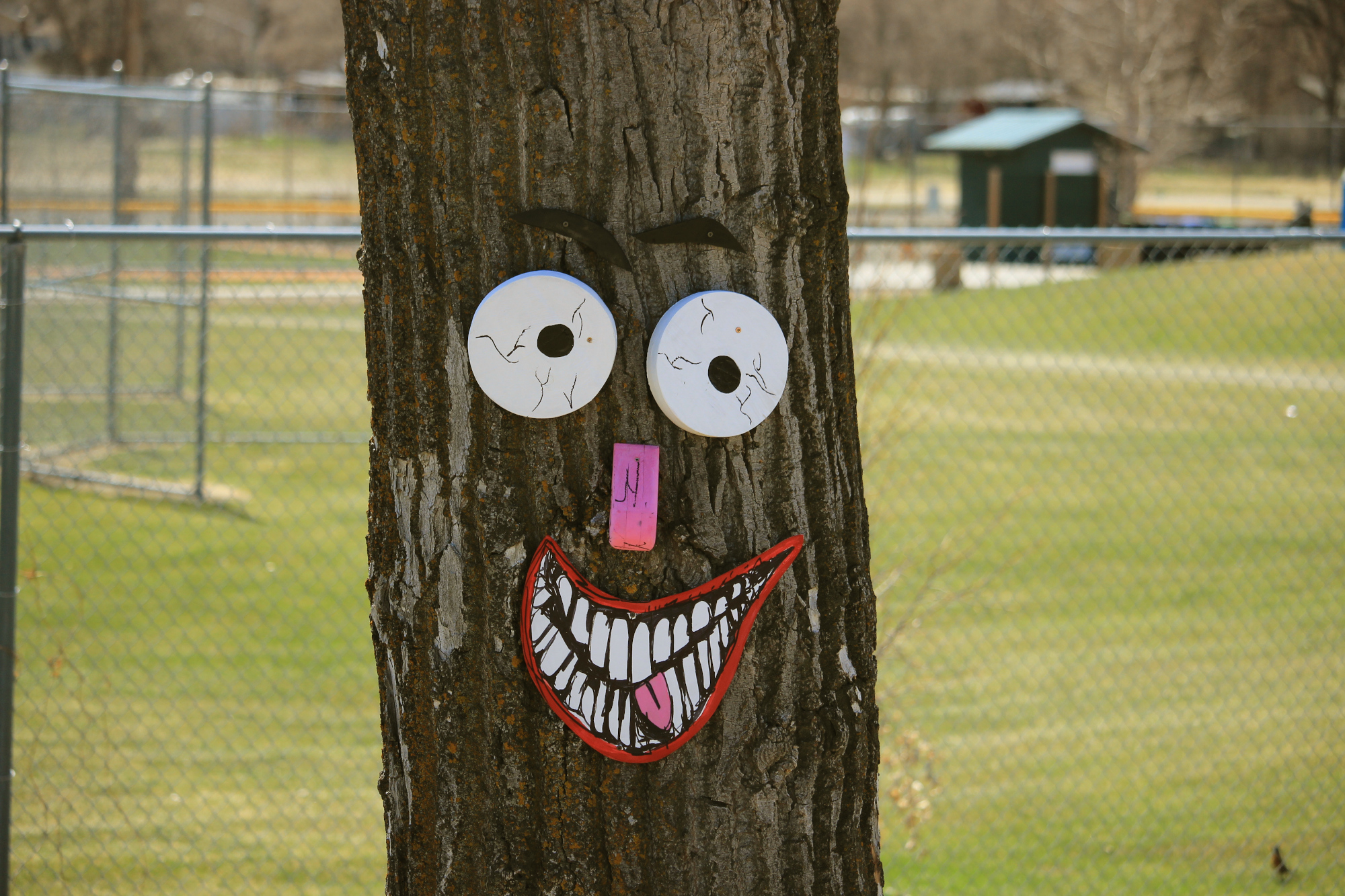 A tree decorated with a grinning face