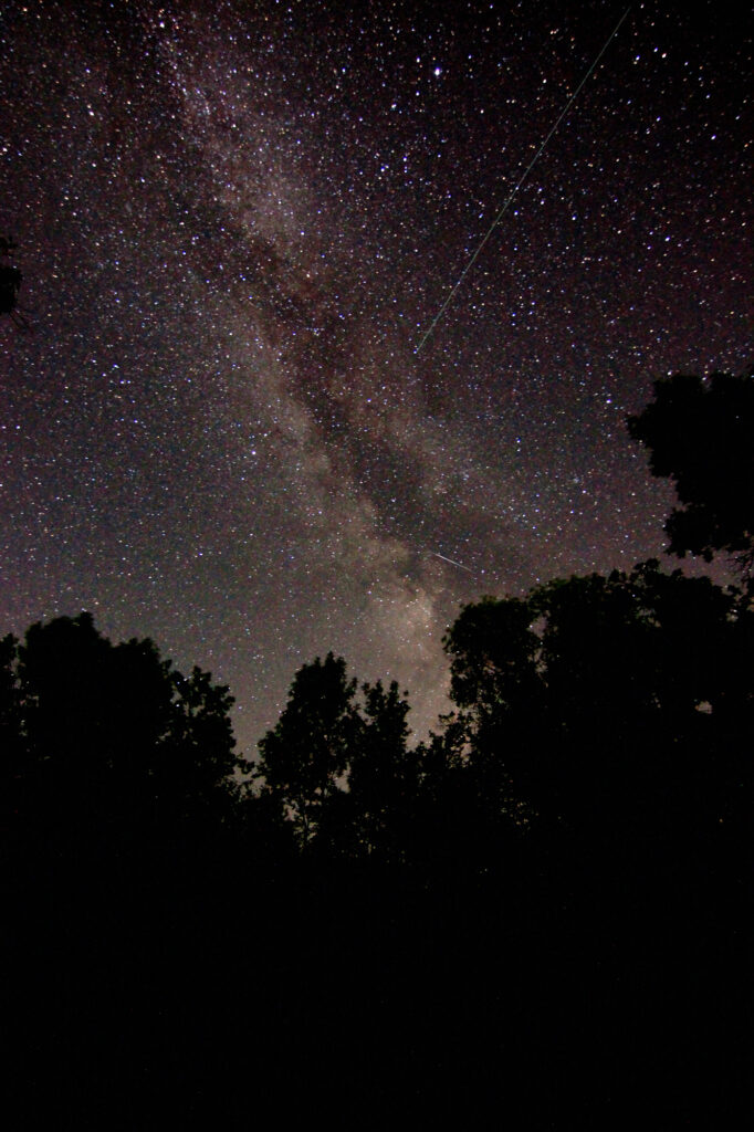 The Milky Way above silhouetted trees