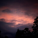 Orangey clouds with trees silhouetted