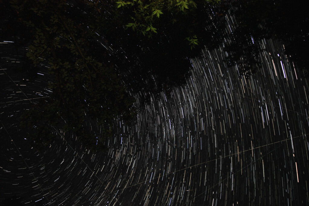 Star trails above Spruce Woods