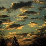 A sky half-full of clouds, each cloud half-lit by the low morning sun