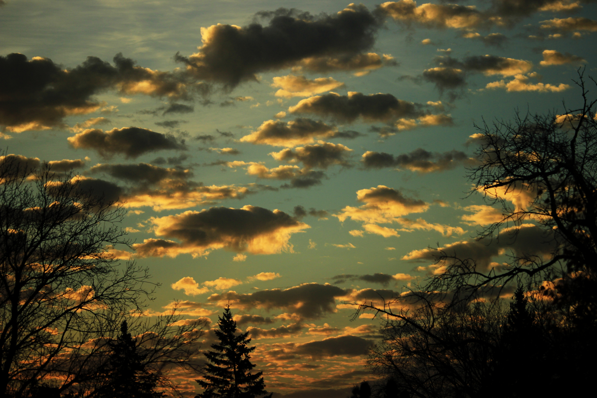 A sky half-full of clouds, each cloud half-lit by the low morning sun